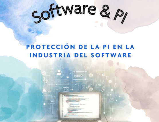 Protección de la Propiedad Intelectual en la Industria del Software